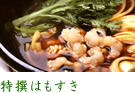 特撰はもすき